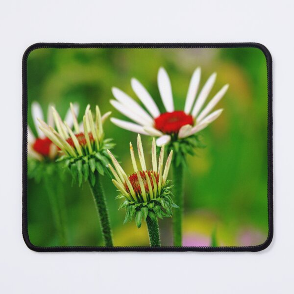 Item preview, Echinacea designed and sold by Debbie Oppermann.