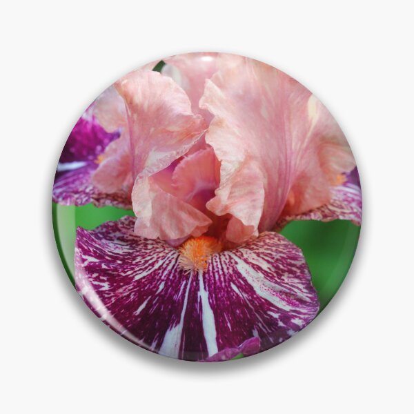 Item preview, She's A Lady - Iris designed and sold by Debbie Oppermann.
