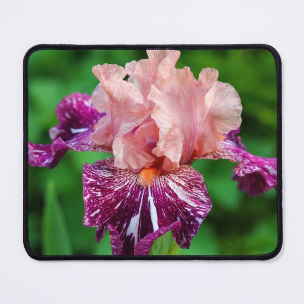 Item preview, She's A Lady - Iris designed and sold by Debbie Oppermann.