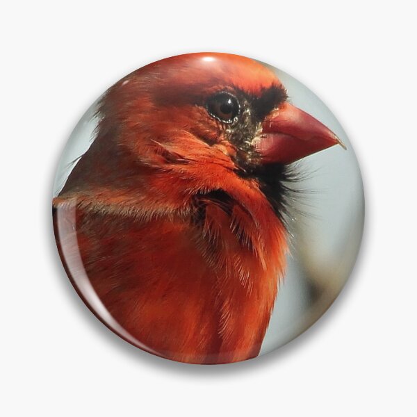Item preview, Windblown Northern Cardinal designed and sold by Debbie Oppermann.