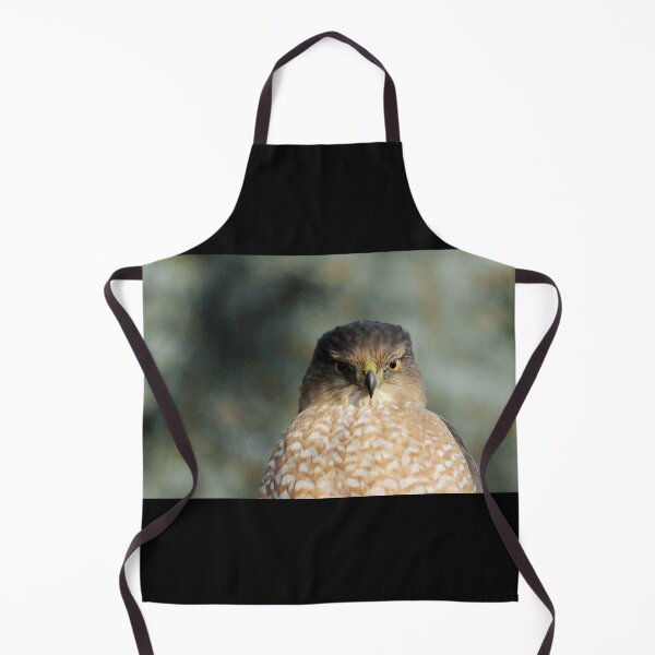 Item preview, Focused On Me - Coopers Hawk designed and sold by Debbie Oppermann.