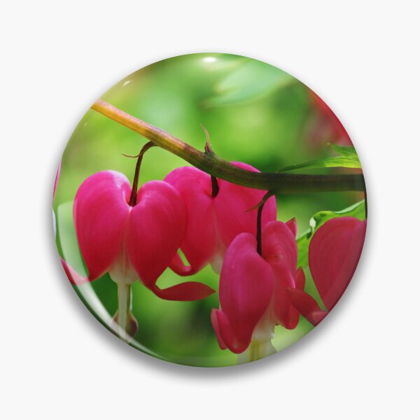 Item preview, Old Fashioned Bleeding Hearts designed and sold by Debbie Oppermann.