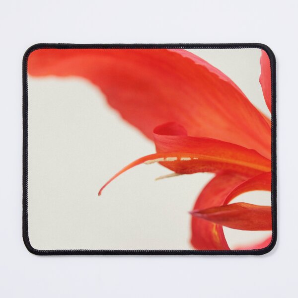 Item preview, Softly Red Canna Lily designed and sold by Debbie Oppermann.