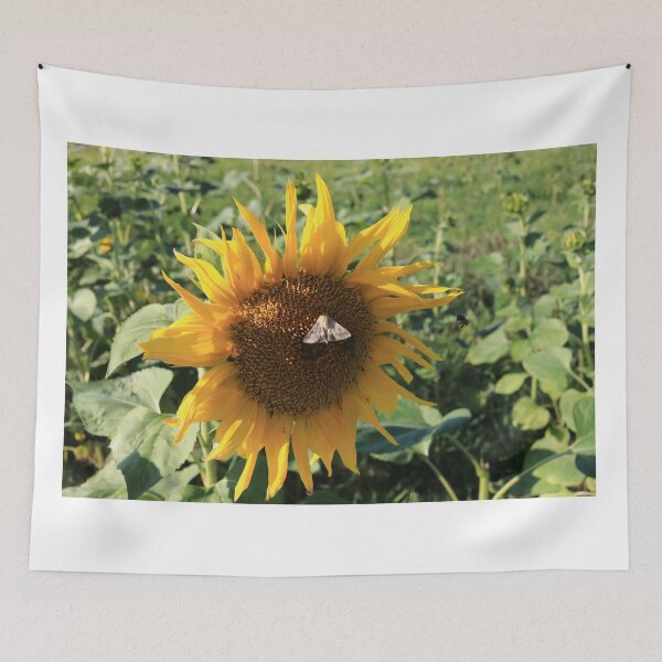 Item preview, Sunflower and moth designed and sold by zumi.
