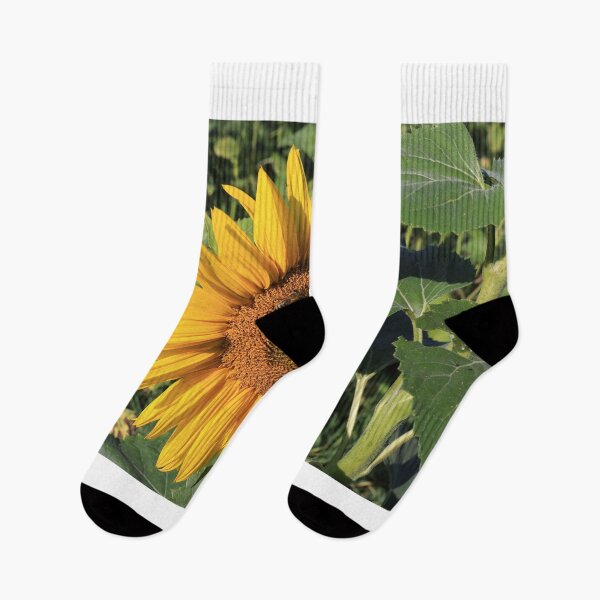 Item preview, Sunflower and bees III designed and sold by zumi.