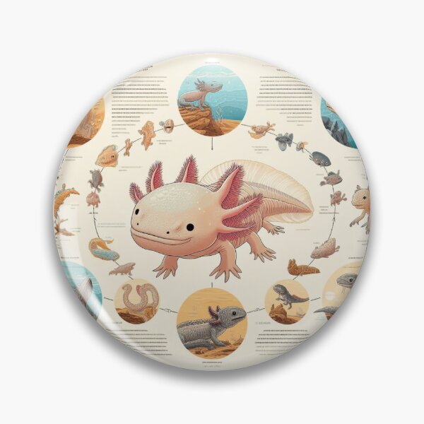 Item preview, Evolution of the Axolotl designed and sold by AI-Art-by-Alan.