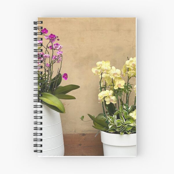 Item preview, Flower Pots Against a Clay Wall - Floral Wall Art designed and sold by YemmyZImages.
