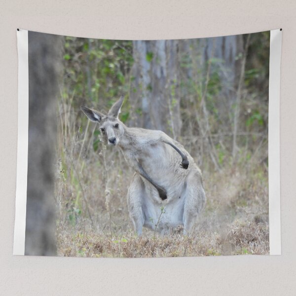 Item preview, Kangaroo morning stretch designed and sold by Mark Grimsley.
