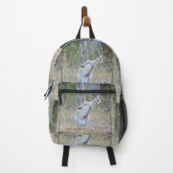 Item preview, Kangaroo morning stretch the other way designed and sold by Mark Grimsley.