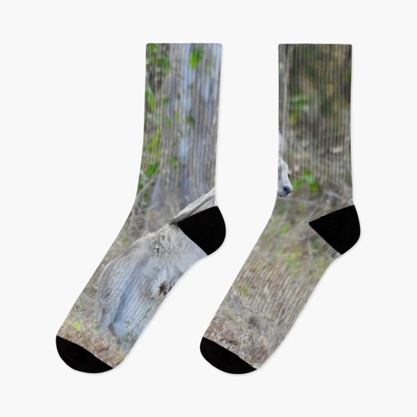 Item preview,  Kangaroo morning stretch the other way designed and sold by Mark Grimsley.
