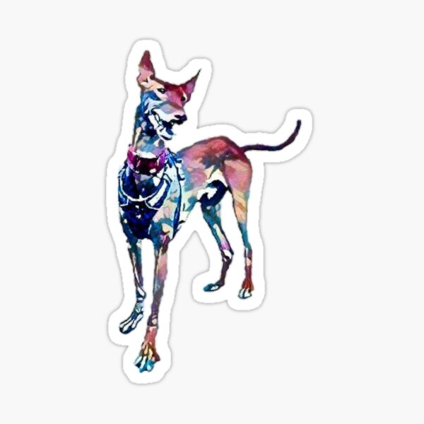 Bojack Acuarela Pegatina