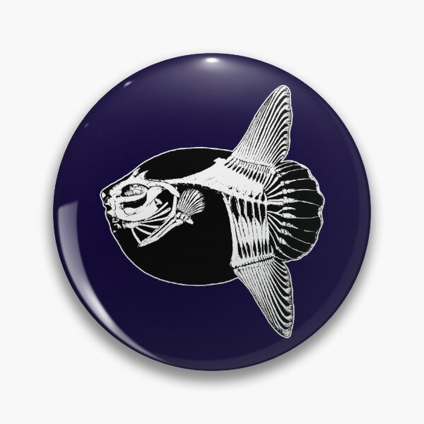 Item preview, Mola Mola Skeleton (Ocean Sunfish) designed and sold by HistoryRepeats.