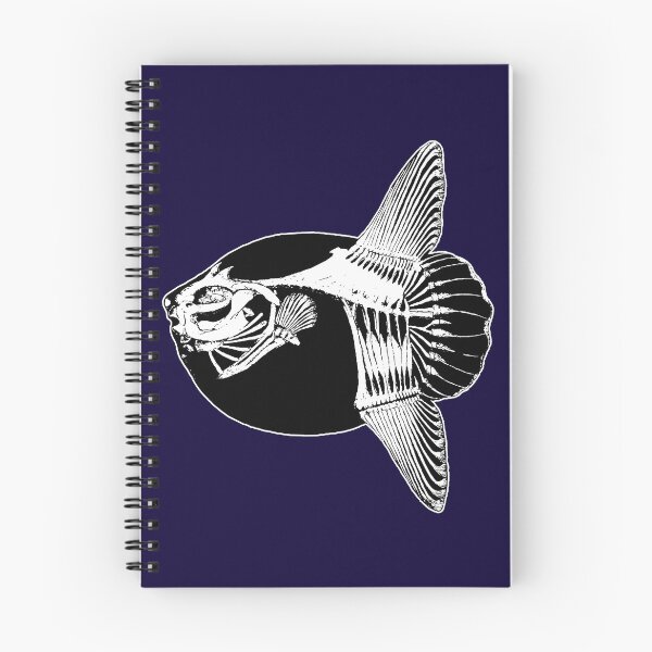 Item preview, Mola Mola Skeleton (Ocean Sunfish) designed and sold by HistoryRepeats.