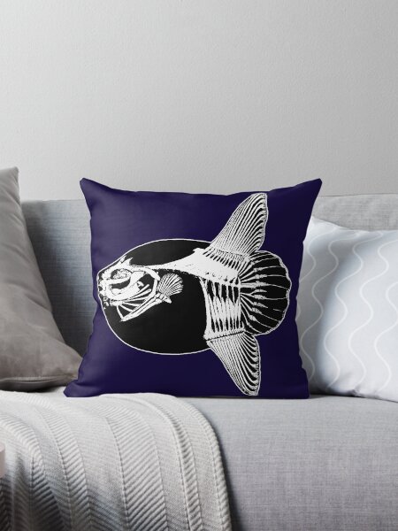 Item preview, Mola Mola Skeleton (Ocean Sunfish) designed and sold by HistoryRepeats.