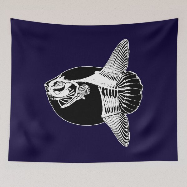 Item preview, Mola Mola Skeleton (Ocean Sunfish) designed and sold by HistoryRepeats.