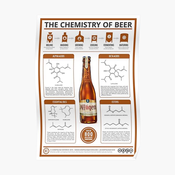 The Chemistry of Beer Poster