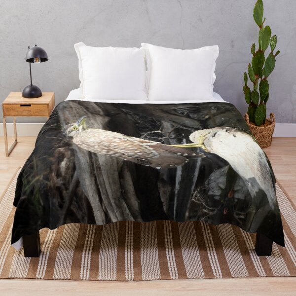 Item preview, Striated Heron looking for breakfast designed and sold by Mark Grimsley.