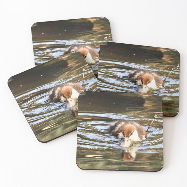 Item preview, Rajah Shelduck duckling looking for food designed and sold by Mark Grimsley.