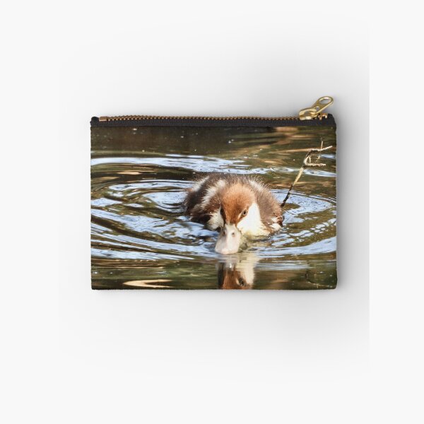 Item preview, Rajah Shelduck duckling looking for food designed and sold by Mark Grimsley.
