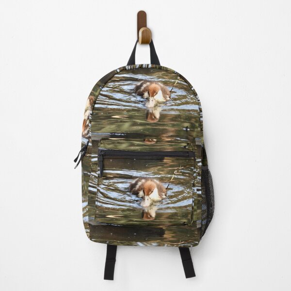 Item preview, Rajah Shelduck duckling looking for food designed and sold by Mark Grimsley.
