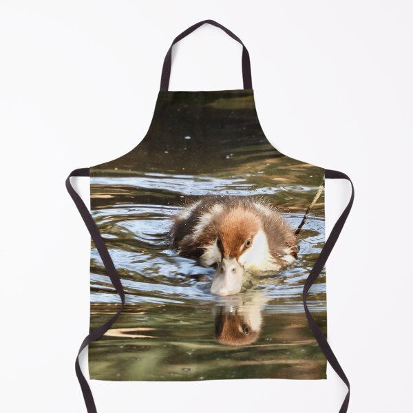 Item preview, Rajah Shelduck duckling looking for food designed and sold by Mark Grimsley.