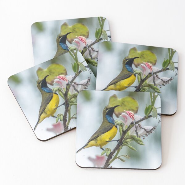 Item preview, Australian bird photography - olive-backed sunbird designed and sold by Ozjanette90.