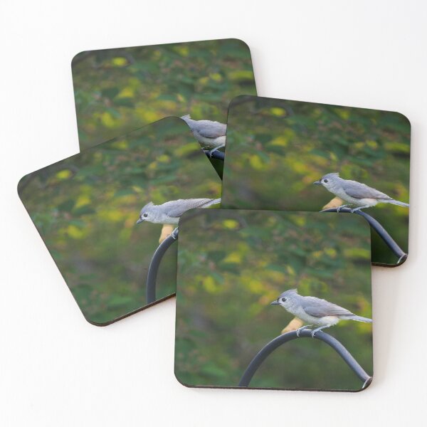 Item preview, Tufted Titmouse designed and sold by FeatherFocused.