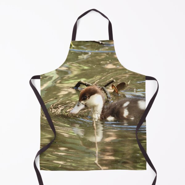 Item preview, Rajah Shelduck duckling exploring designed and sold by Mark Grimsley.