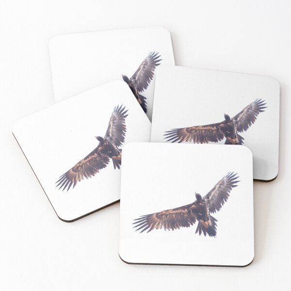Item preview, Australian bird photography - wedge-tailed eagle designed and sold by Ozjanette90.