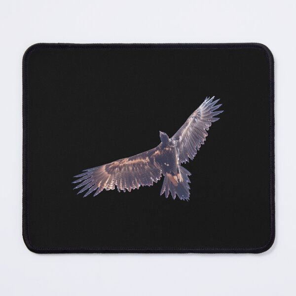 Item preview, Australian bird photography - wedge-tailed eagle designed and sold by Ozjanette90.