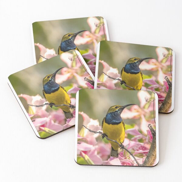 Item preview, Australian bird photography - olive-backed sunbird designed and sold by Ozjanette90.
