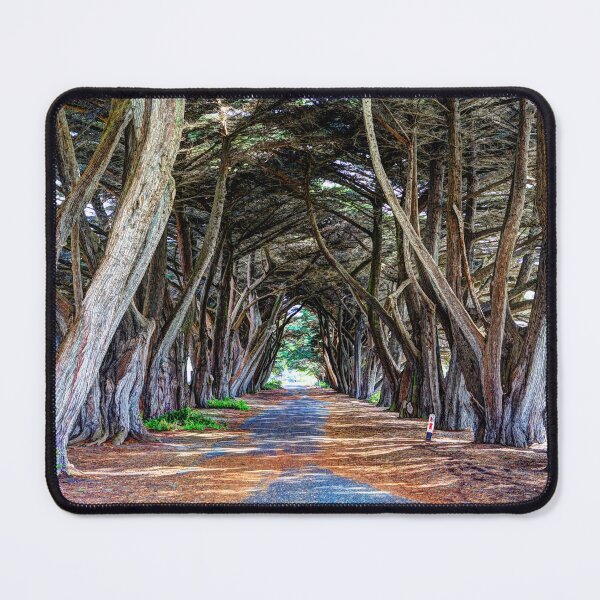 Item preview, Archway of Trees at Portsea designed and sold by Blackadder Photography.
