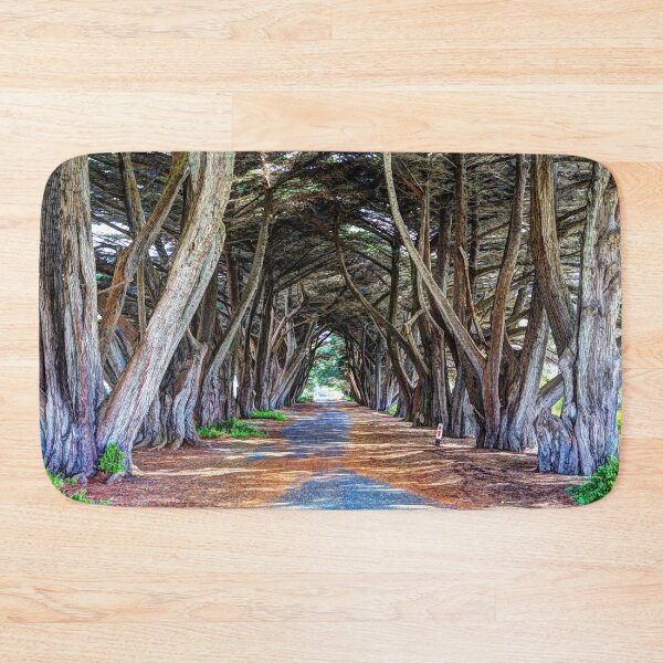 Item preview, Archway of Trees at Portsea designed and sold by Blackadder Photography.