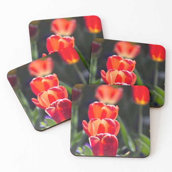 Item preview, Tulips in a line designed and sold by RREID84.