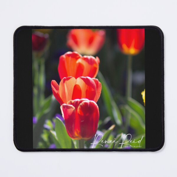 Item preview, Tulips in a line designed and sold by RREID84.