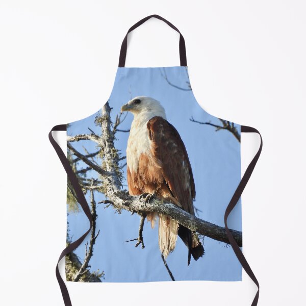 Item preview, Brahminy Kite sitting proud designed and sold by Mark Grimsley.