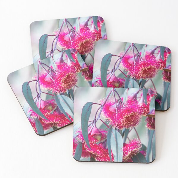 Item preview, Australian plants - Princess Caesia Gungurra Gum designed and sold by Ozjanette90.