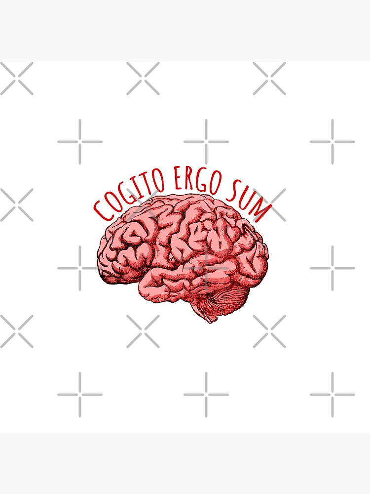 ANDROID - cogitoergo Cogito Ergo Sum