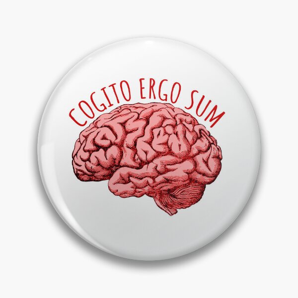 ANDROID - cogitoergo Cogito Ergo Sum