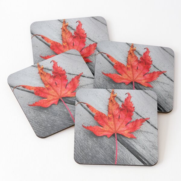 Item preview, Autumn red leaf designed and sold by carlisleprints.