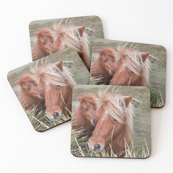 Item preview, Miniature Horses in a paddock Tasmania designed and sold by ThomasPenny.