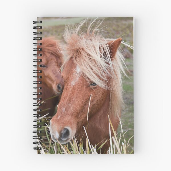 Item preview, Miniature Horses in a paddock Tasmania designed and sold by ThomasPenny.