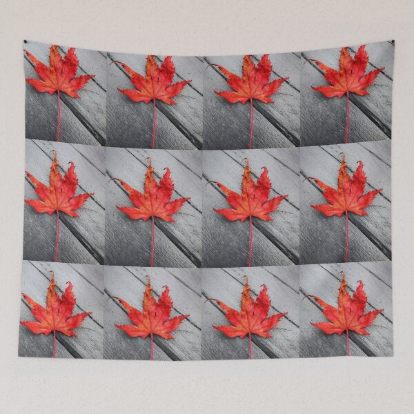 Item preview, Autumn red leaf designed and sold by carlisleprints.