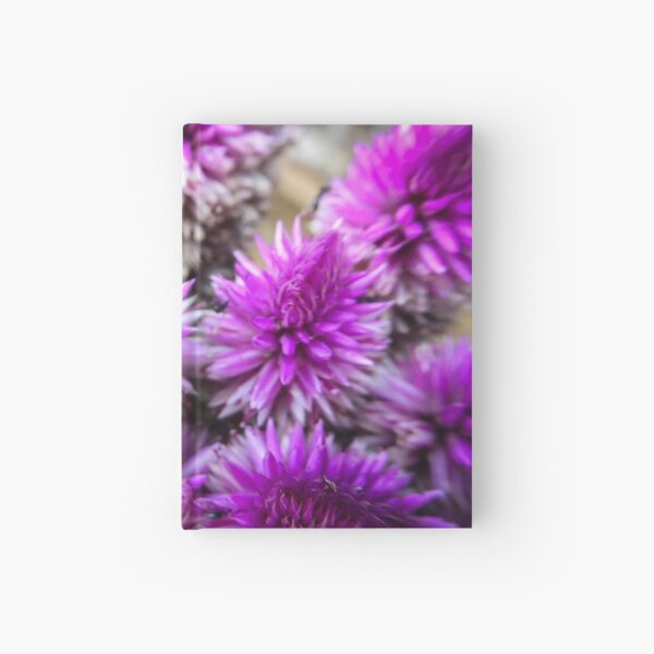 Ironweed Hardcover Journal