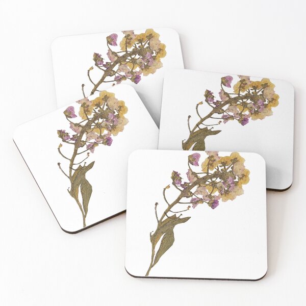 Item preview, Dried flower designed and sold by Lily  Bloom.