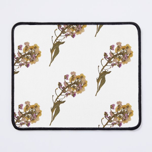 Item preview, Dried flower designed and sold by Lily Bloom.
