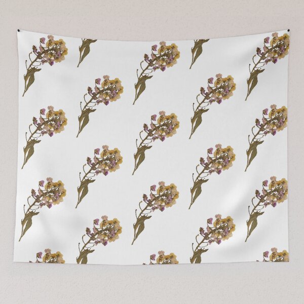 Item preview, Dried flower designed and sold by Lily  Bloom.