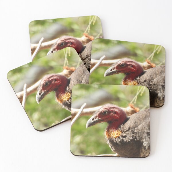 Item preview, Australian Bush-Turkey face designed and sold by Mark Grimsley.