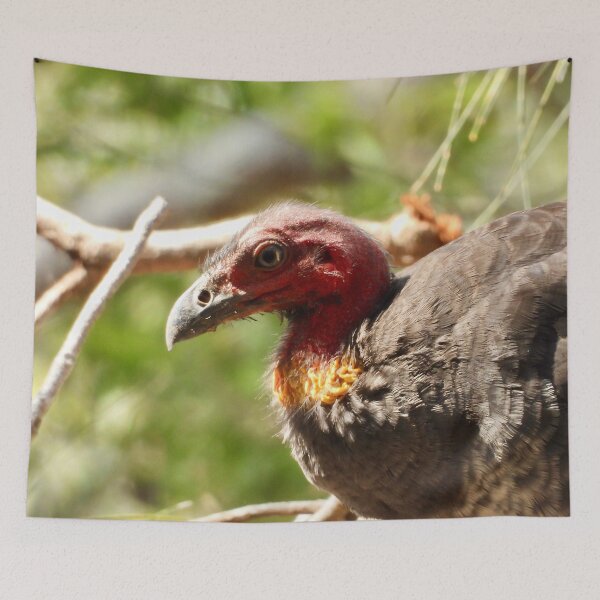 Item preview, Australian Bush-Turkey face designed and sold by Mark Grimsley.