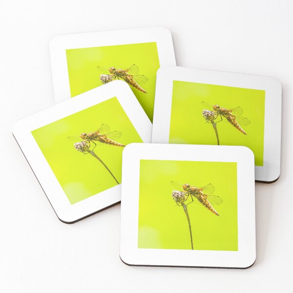 Item preview, Dragonfly on a seed head  designed and sold by Mothboybrown.